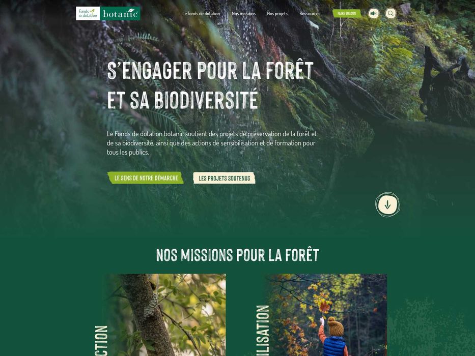 Creare site-uri profesionale | Domenii, Găzduire & Mentenanță