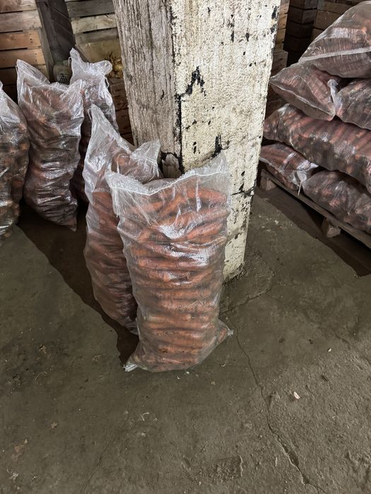 Morcov Disponibil Cantitati Mari