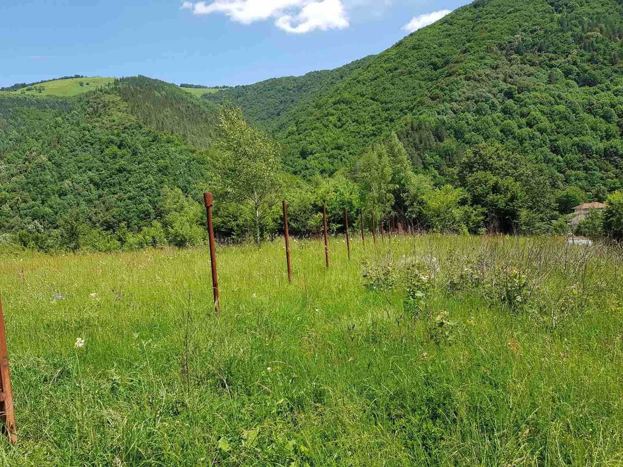 Продава се Парцел в с. Рибарица, Област Ловеч - 3000 кв.м за 32 €/кв.м - Снимка #1