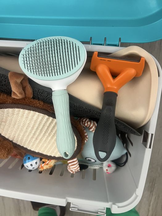 Set pentru pisici: ansamblu de joaca si transportor, stare excelenta!