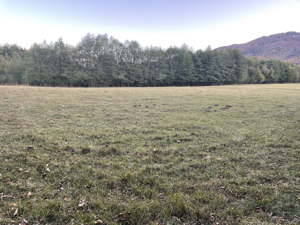 Vand teren in zona pitoreasa Bran Predelut Tohanita