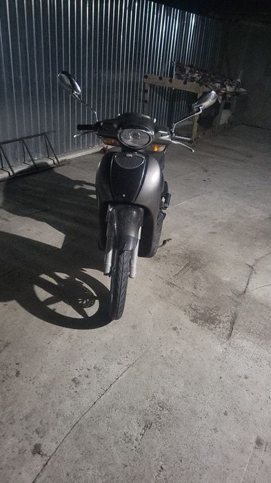 Apropia scarabeo