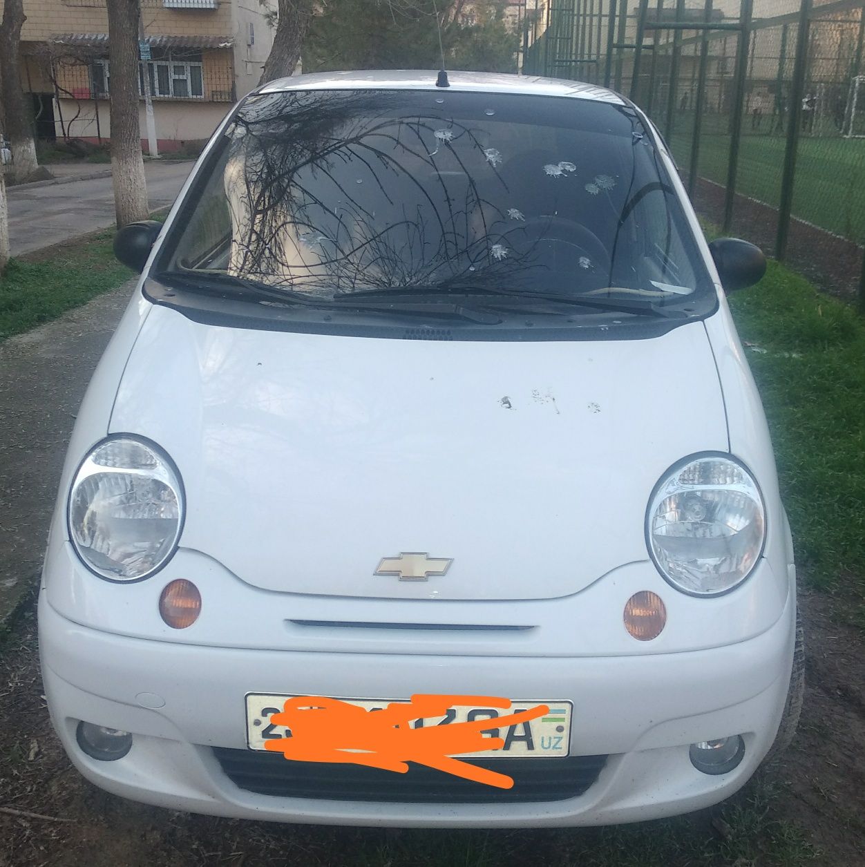 Matiz prastoy holati zo‘r