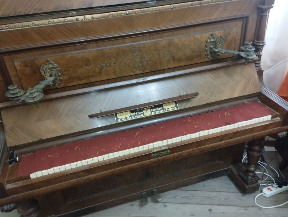 Pianina deosebită funcțională placă bronz Grand - Fabrikant Hof- Piano