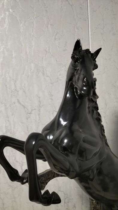 Кора байр холати идеал