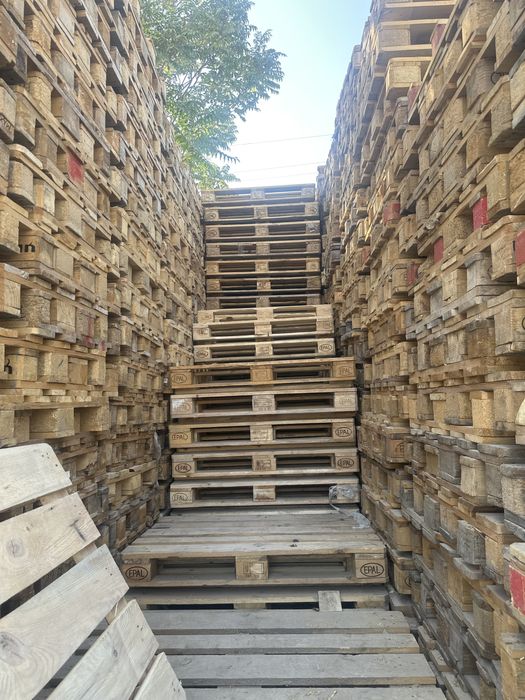 Paddon pallet paddoni pallet