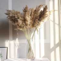 Pampas Stuf Natural