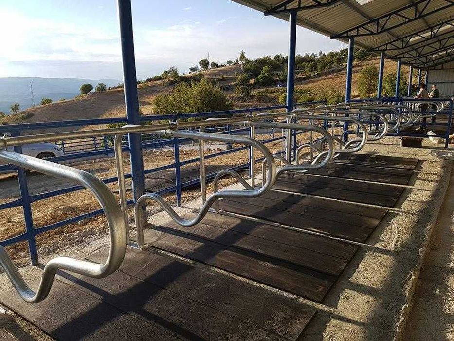 Лежанки для коров