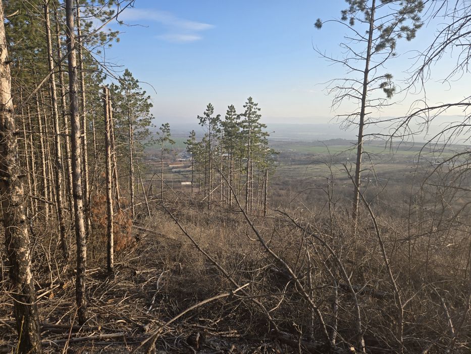 Парцел кв. Дивдядово