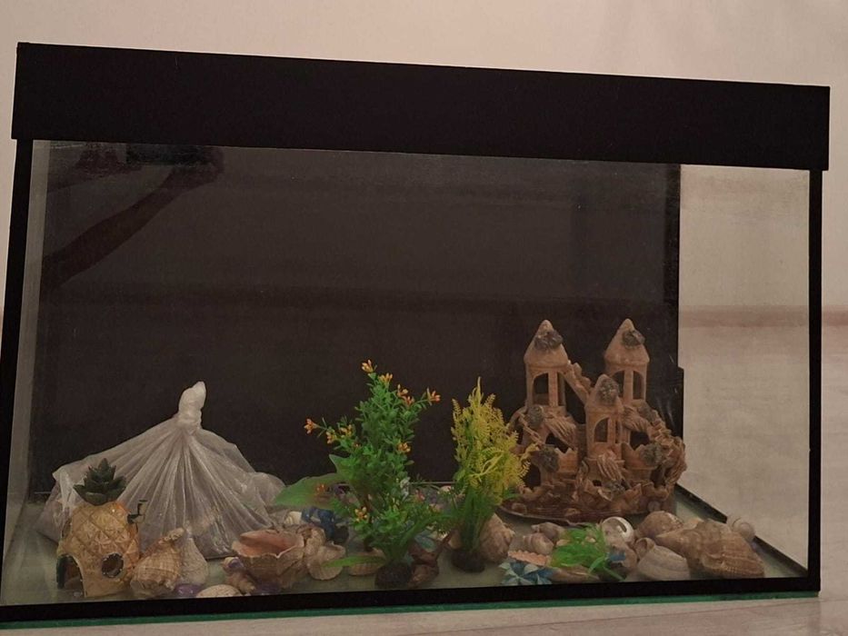 Аквариум для рыбок