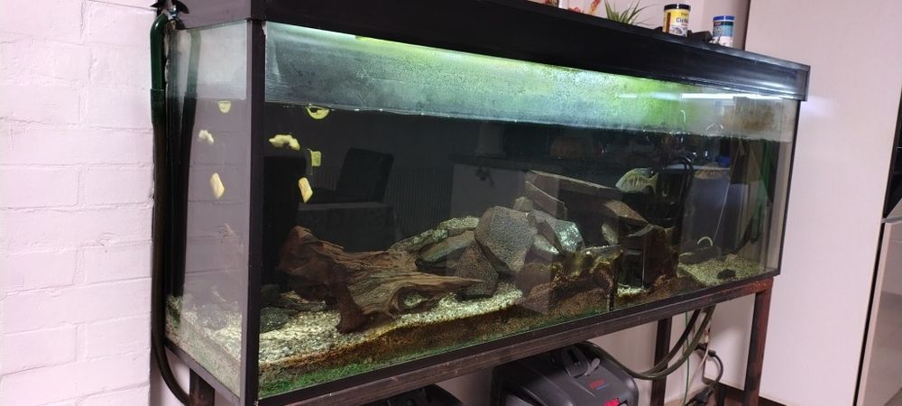 Vând acvariu 433 litri