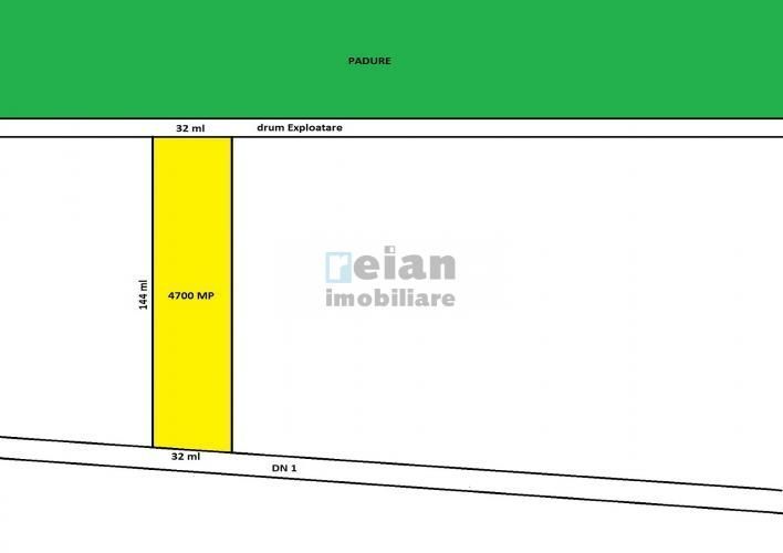 Tancabesti Stradal Dn1 Intravilan 4700mp, Dubla Deschidere 32/32 Ml