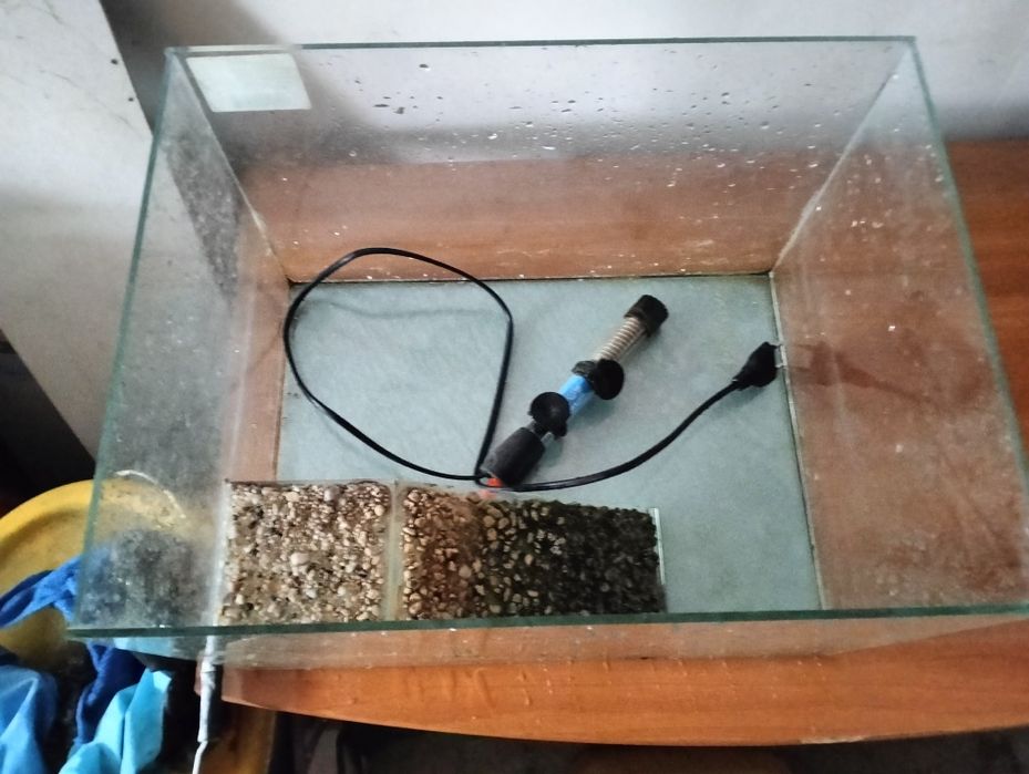 Acvariu și încălzitor