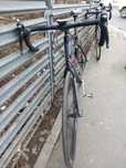 Bicicleta giant carbon
