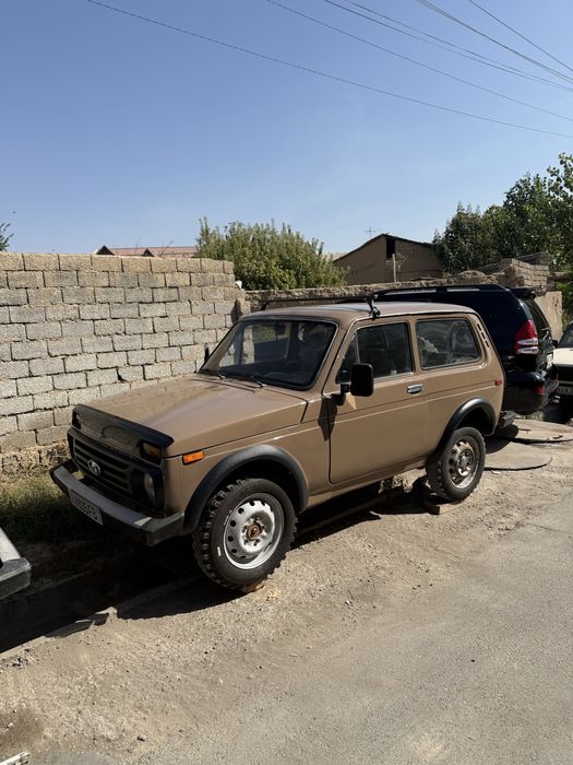 Нива сотлади урлмаган чрмаган бизида