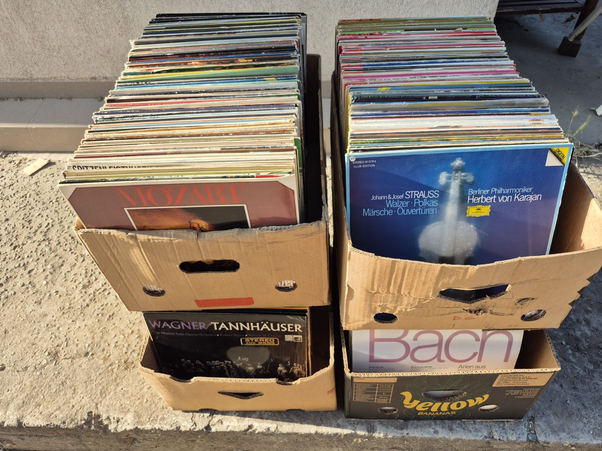 Vand Lot 150lp Discuri Vinil cu muzică clasică mixta 

Artiști:

- Fra