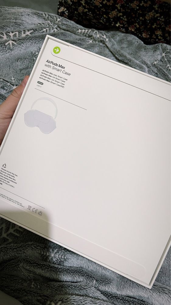 Airpods Max Silver