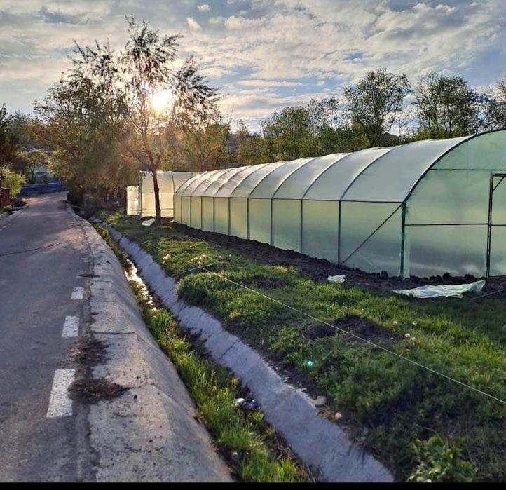 Solare la doar 70lei mp