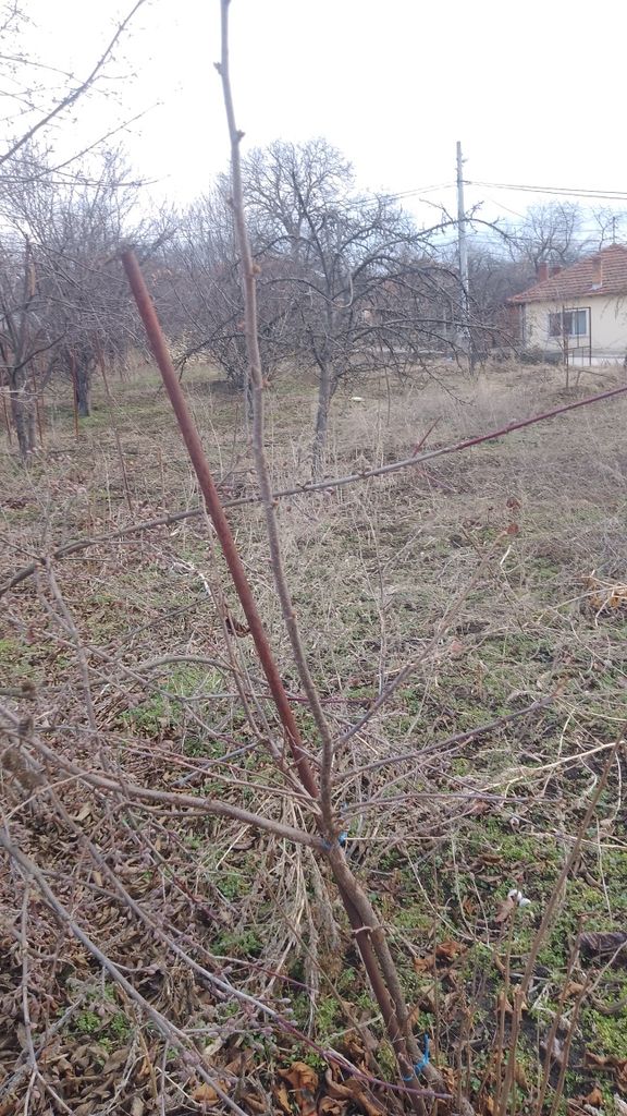 Продава се Парцел в с. Леденик, Област Велико Търново - 720 кв.м за 59 €/кв.м - Снимка #3