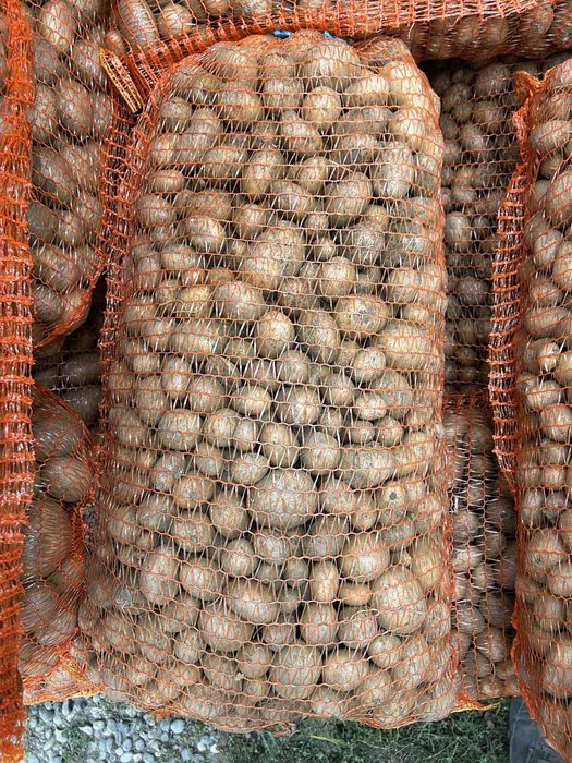 De vanzare cartofi pentru animale