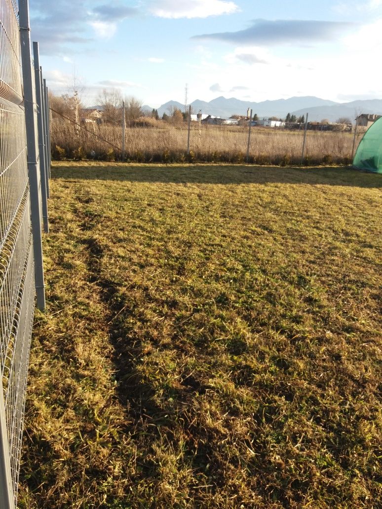 Teren de închiriat in Stupini Brasov