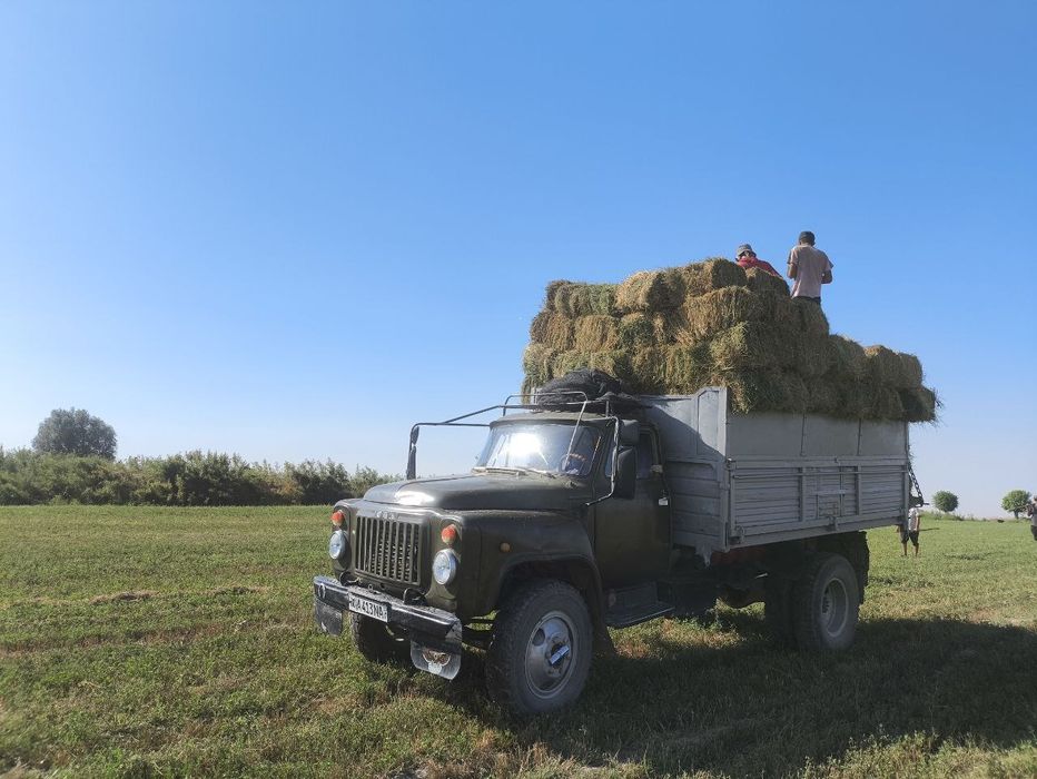 Beda press sotiladi razmer 70+