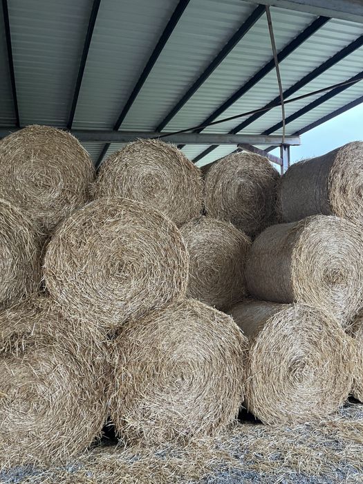Бали слама пшеничена