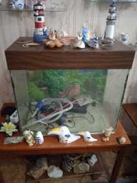Срочно продам аквариум со всеми принадлежностями
