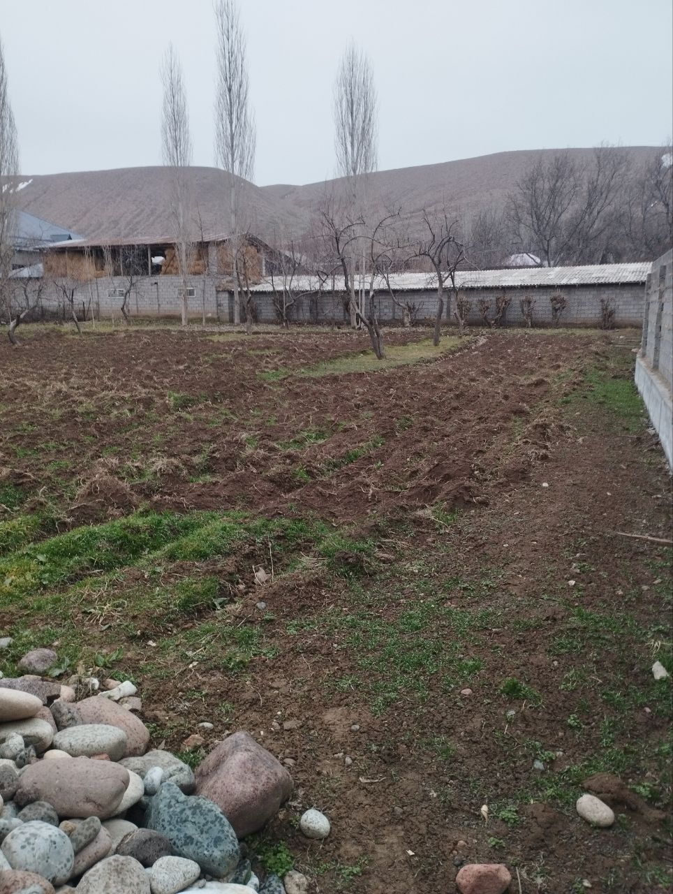 Uchastka Toshkent viloyati Bo'stonliq shahri