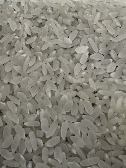 Guliston lideri guruchi