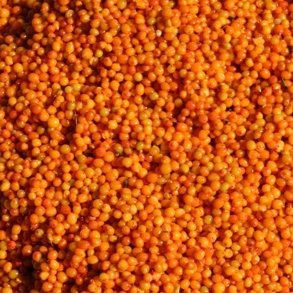 Облепиха свежая ( замороженная )