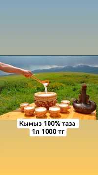 Кымыз таза еш коспасыз 1000%