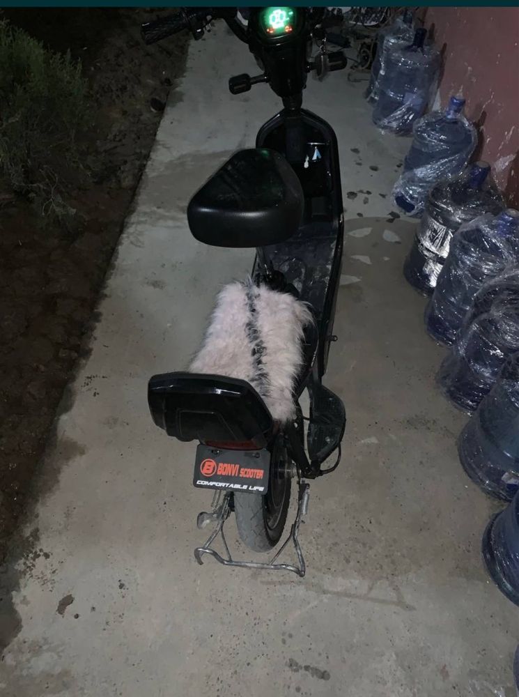 Skuter elektroni 50km