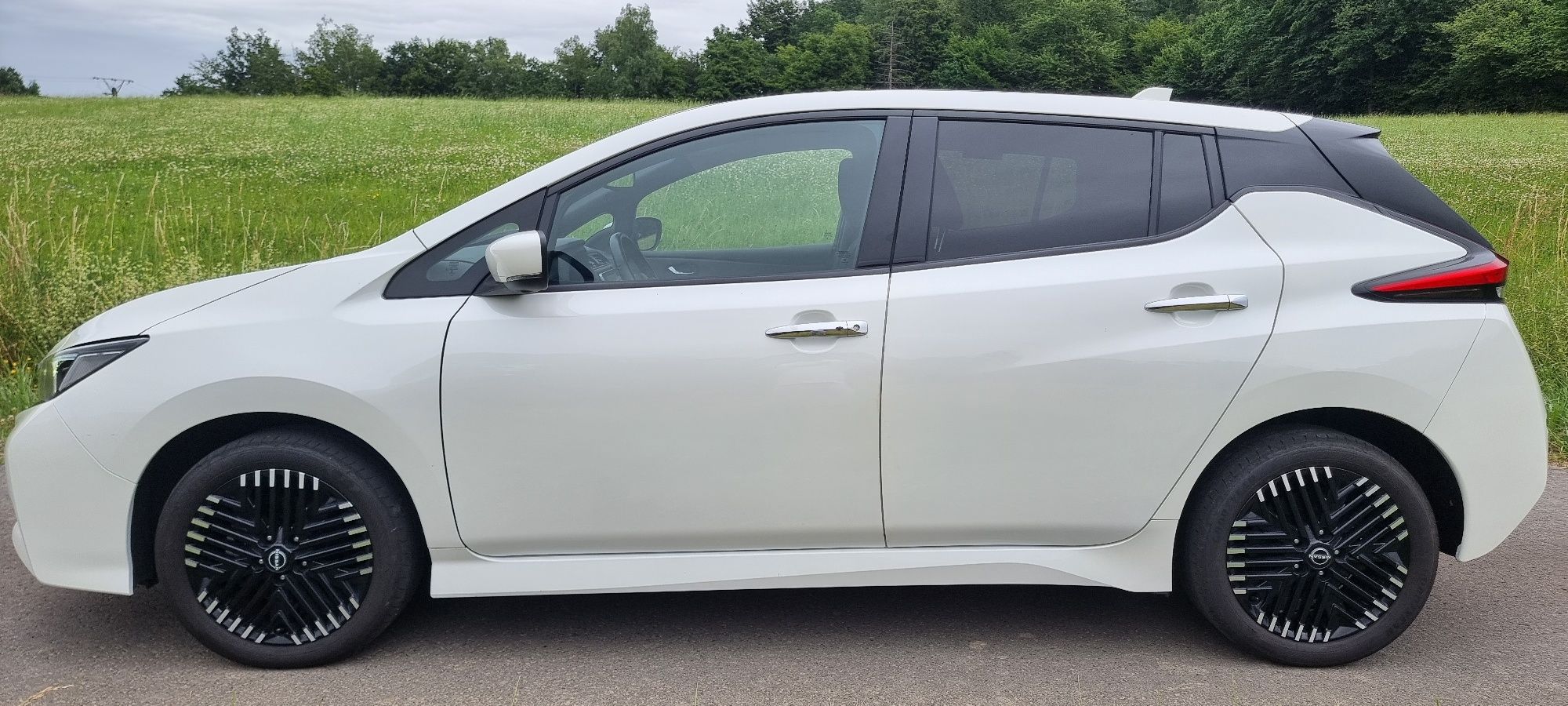 Nissan Leaf Elektro 62kw Kamera 360g