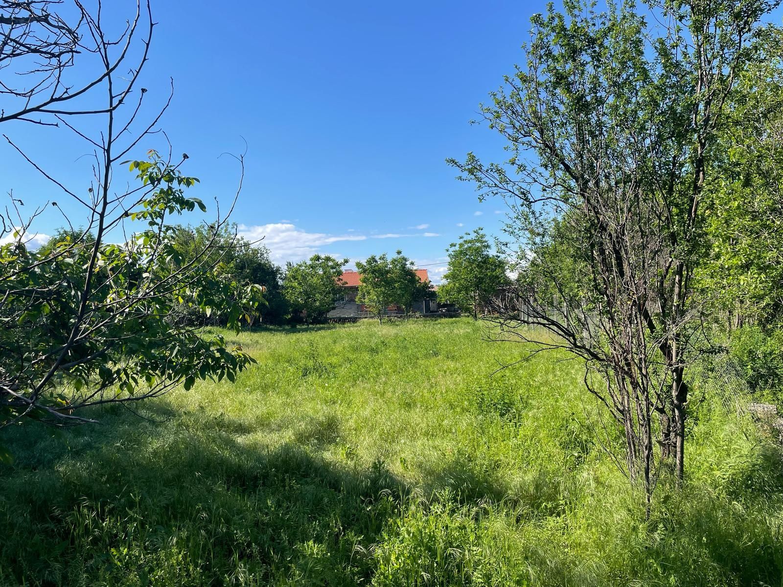 Парцел в село Добрич