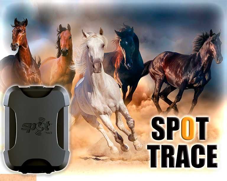 GPS Spot для лошадей, работает там, где нет сотовой связи