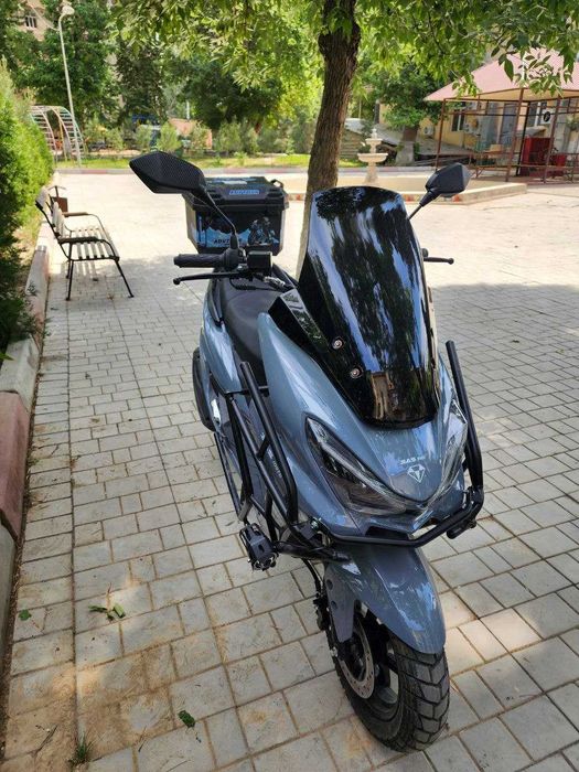 Tiger skuter sotiladi