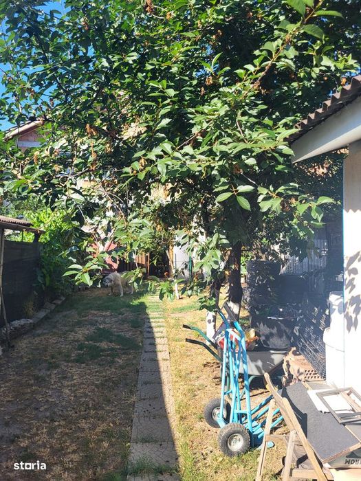 Apartament cu curte privata de vanzare in Rogerius