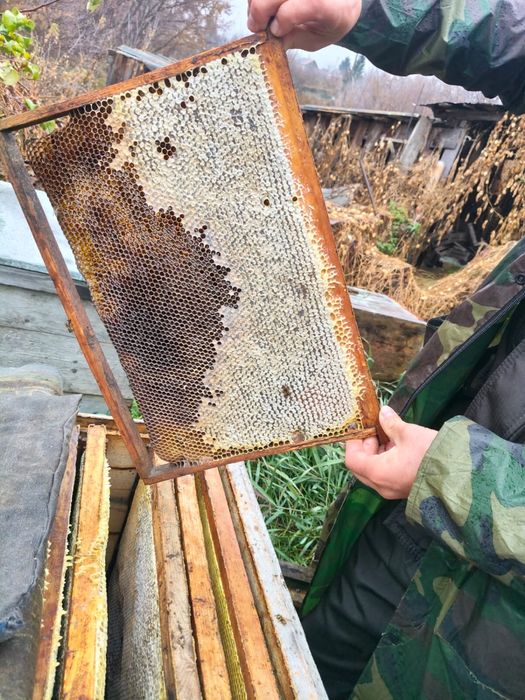 Продаются пчелиные ульи с рамками, в хорошем состоянии