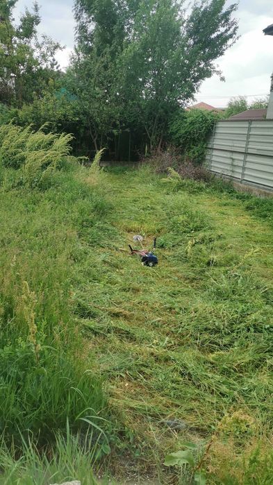 Tundem gazon iarbă buruieni ierbicidăm