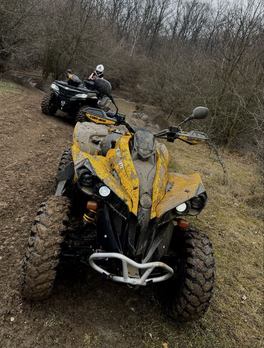 Can am renegade 500