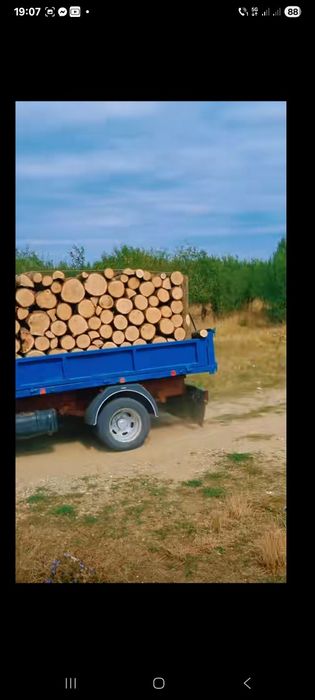 Lemne foc esențe tari