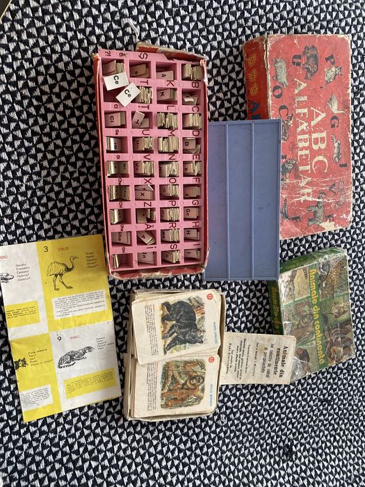 Alfabetar , animale din continente joc