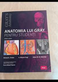 Anatomia lui grey
