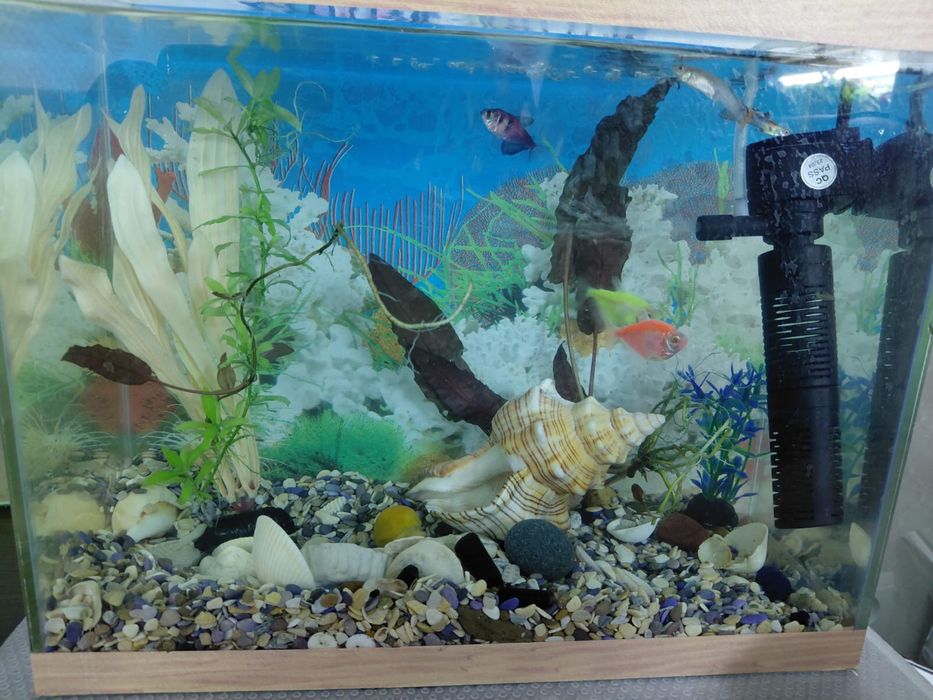 Продам аквариум