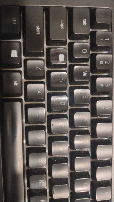 Tastatura Gaming RAZER Cynosa V2