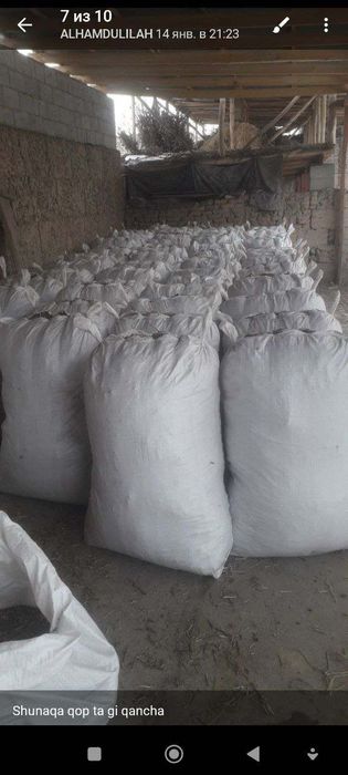 Moshni buri qo'ylar uchun