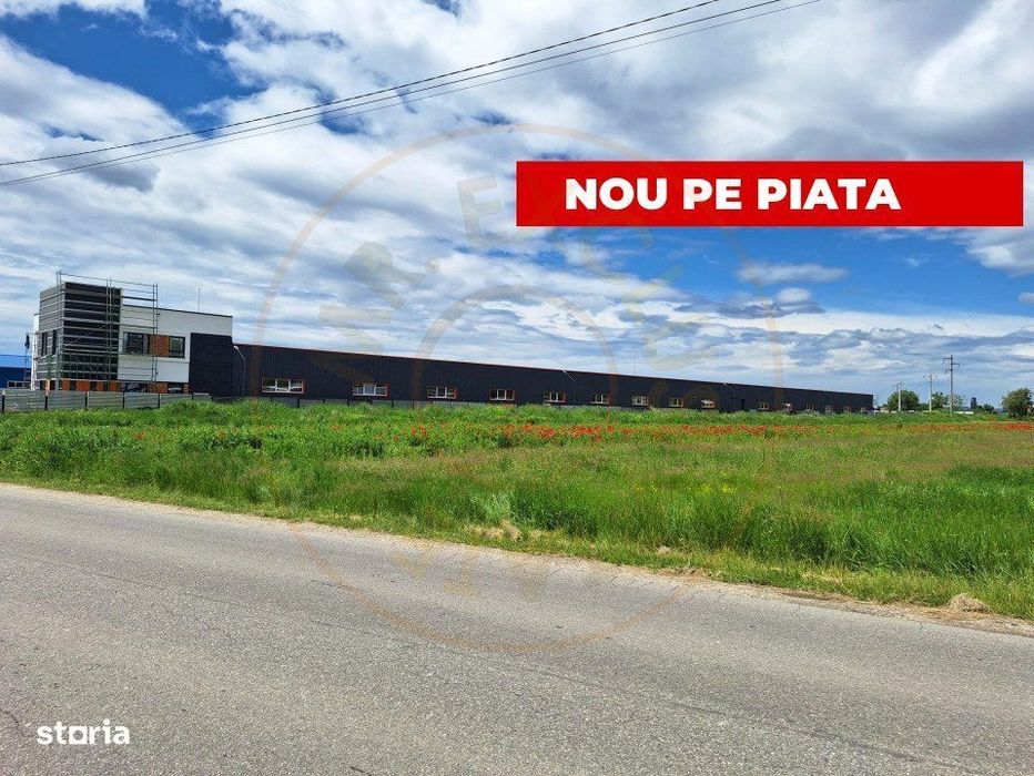 Teren industrial de vanzare – Ștefanesti, Strada Sticlelor
