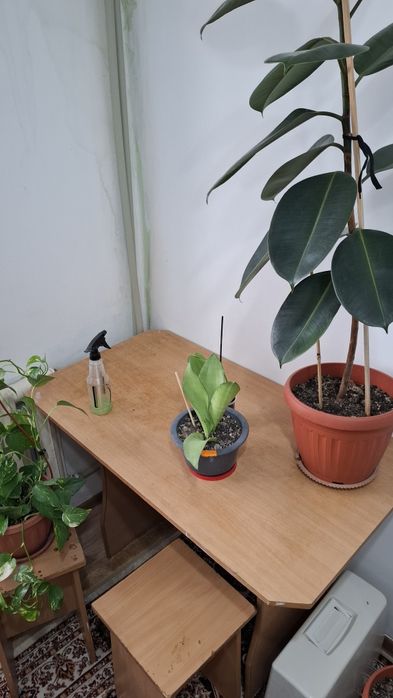 Кухонный стол и табуретка