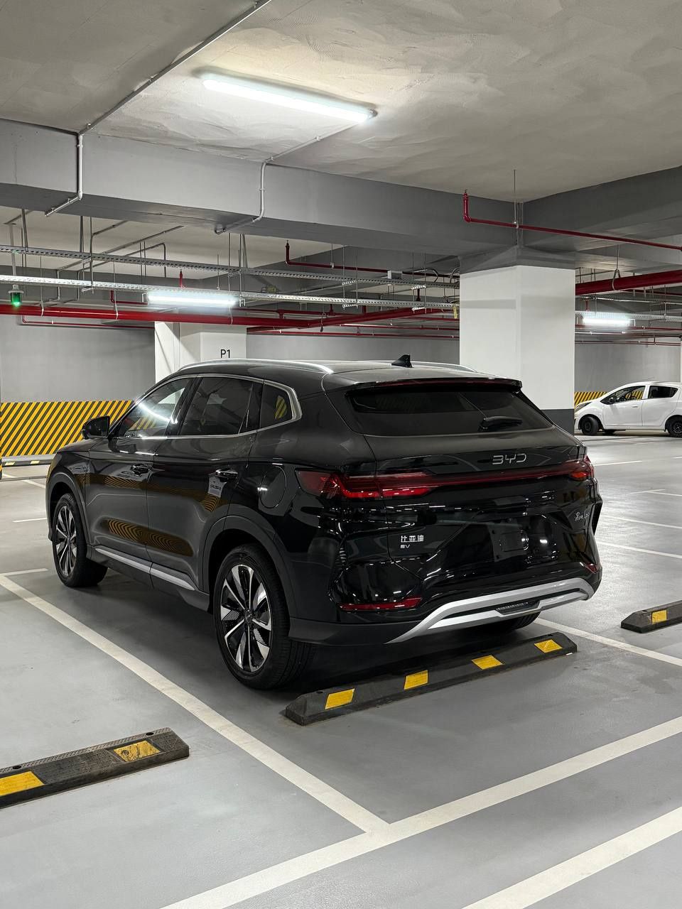 Byd chempion 605km oq rangli Toshkentda Avtosalonda tayyor